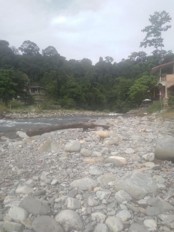 Hotel Umiyuki Jungle Tour Only Treking With As Bukit Lawang Esterno foto