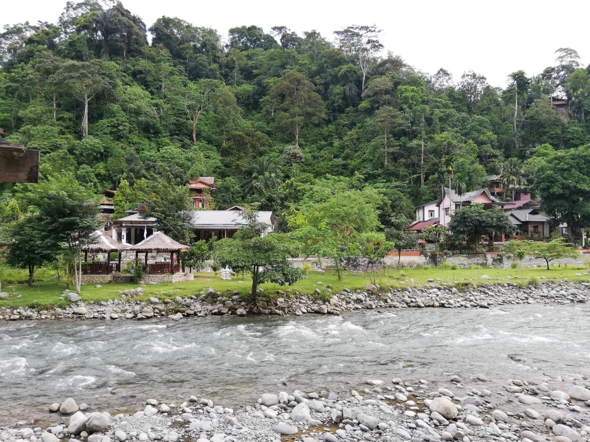 Hotel Umiyuki Jungle Tour Only Treking With As Bukit Lawang Esterno foto
